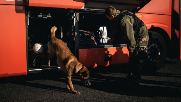 Un malinois inspecte le coffre d'un autocar rouge, sous la conduite de son maître, un gendarme vêtu d'une tenue kakie.