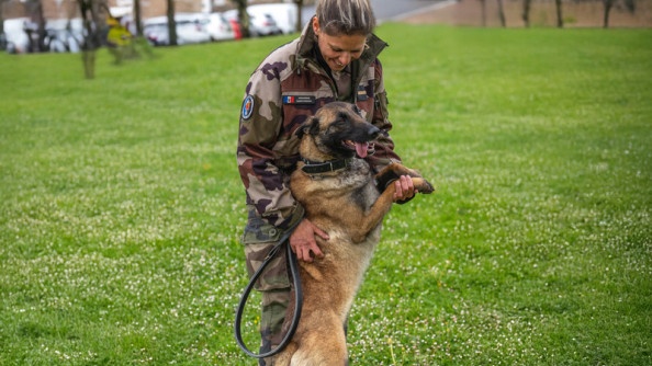 la photo représente une femme gendarme, souriante, en tenue kakie, penchée vers son chien, un berger belge malinois, se tenant debout contre sa maîtresse.