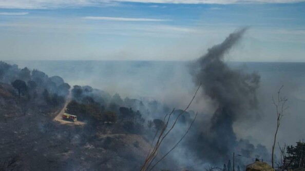 Colonne de fumée en provenance de l'incendie du 16 avril, dans les Pyrénées-Orientales.