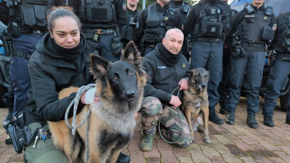 Un groupe d'une quinzaine de personnes, faisant parti d'une équipe de cynophile. Deux gendarmes sont mis en avant avec des chiens.