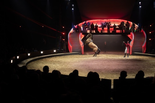 Folies Gruss 11.jpg