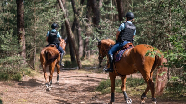 La garde républicaine patrouiles dans la forêt