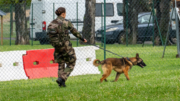 La photo repr&eacute;sente une femme gendarme, en tenue kakie, aux cheveux ch&acirc;tains retenus en chignon, tenant un Berger belge malinois en laisse. La sc&egrave;ne se d&eacute;roule en ext&eacute;rieur, dans un espace clotur&eacute;, avec une pelouse