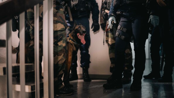 Dans un escalier d'immeuble, on aper&ccedil;oit les jambres de plusiers militaires qui se tiennent debout, statiques. Au niveau de leurs jambes se tient un chein (race malinoise), lui aussi debout.