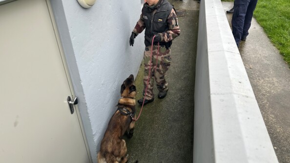 Dans un corridor ext&eacute;rieur longeant la fa&ccedil;ade d'un b&acirc;timent, on aper&ccedil;oit une femme en tenue militaire kakie, tenant au cordeau un berger belge malinois. Derri&egrave;re elle, on aper&ccedil;oit les jambes d'autres militaires.
