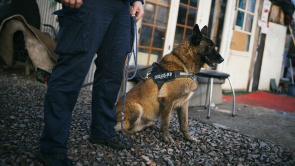 vu d'une équipe cynophile (jambes du gendarme et chien assis)