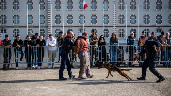 Démonstration de chien mordant, un homme équipé d'une tenue épaisse, menotté, tenue par un gendarme, et face à eux un maître de chien tient en laisse son malinois qui attaque