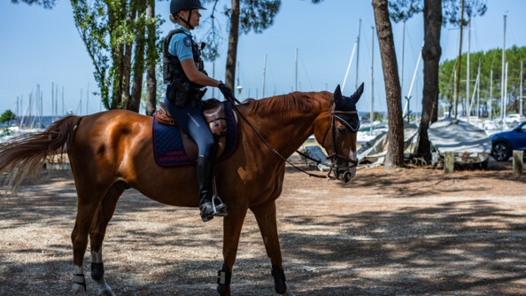 Un cheval et sa cavalière gendarme, montrant le profil droit tous les deux, le long de la lsière de la pinède, donnant sur des bateaux et au loin le port du lac de Biscarosse