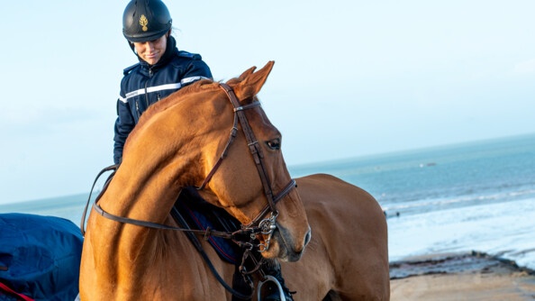 Cavalier de la Garde républicaine sur son cheval.