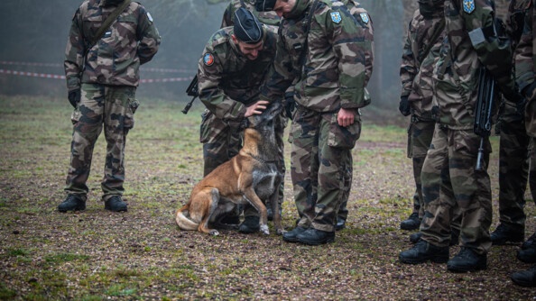 Exercice EOGN AMSCC (1).jpg
