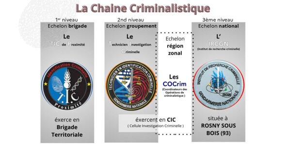 Infographie sur la chaine criminalistique (technicien de proximité, technicien en investigation criminelle, institut de recherche criminelle de la gendarmerie nationale)