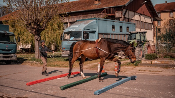 Camille, participante au stage Cent'Or, à gauche, guide son cheval lors d'un parcours d'embûche, à la longue rêne.