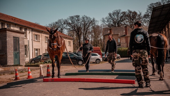 Parcours avec les chevaux, à la longue rêne, avec passage d’embûches… A gauche et à droite, deux chevaux. Au centre, une participante, Laetitia, et son accompagnant de la Garde républicaine, sous le regard de Charlène, co-organisatrice du stage Cent'Or.