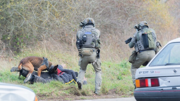 Interpellation par l'&eacute;quipe cynophile du GIGN.