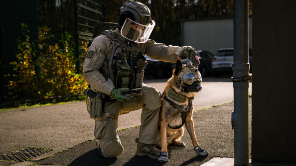 Un maître de chien du Groupe d'appui cynophile du GIGN casqué, visière baissée, un genou à terre, pointe une direction . A côté de lui, son chien attend, assis, casque et lunettes sur le crâne.