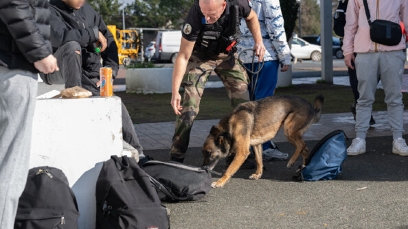 Un chien est entrain de sentir les sacs &agrave; dos d'un groupe de jeune, accompagn&eacute; de son ma&icirc;tre.