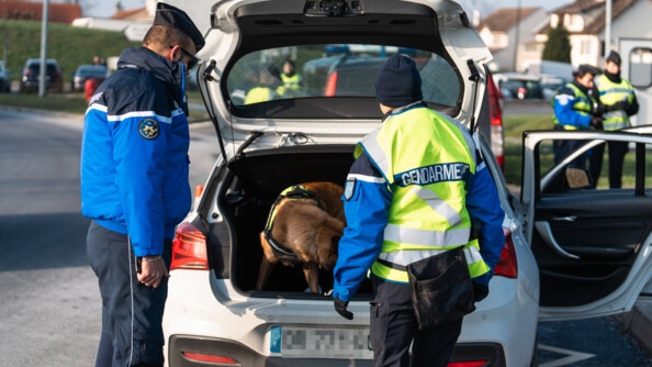 Une équipe cynophile et u autre gendarme à gauche fouillent le coffre d'un véhciule blanc, toutes portes ouvertes.