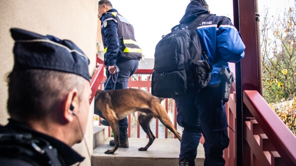 Photo montrant une investigation avec l'équipe cynophile à l'occasion de l'opération "Tempête 35"