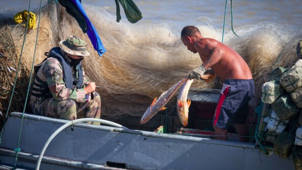 Pêcheur retirant le produit de sa pêche des cales sous le contrôle d'un gendarme de La Charente.