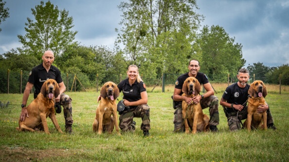 Les quatre équipes cynophiles en formation au GIC Rennes.
