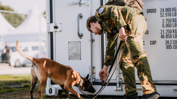 Un maître de chien dirige un malinois procédant à une fouille.