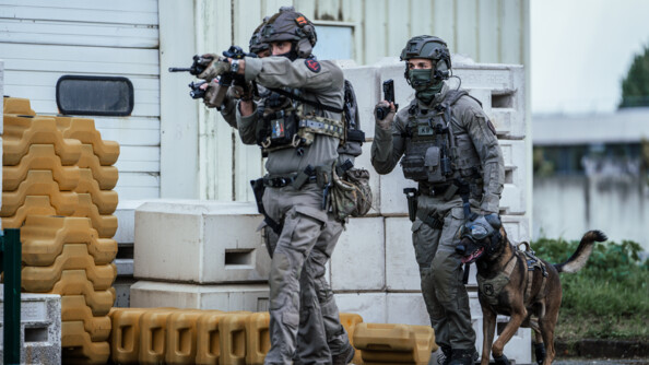 Trois &eacute;quipiers de la force intervention du GIGN progressent devant un b&acirc;timent . Le premier a un fusil en joue et le dernier a son pistolet dans la main droite et tient son chien d'assaut, casqu&eacute;, de l'autre.