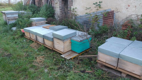 Des ruches disposées sur des palettes, sur l'herbe, devant un batiment de brique et de chaume