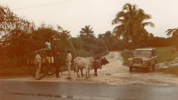 Brigade de Morne-&agrave;-l&rsquo;Eau &agrave; la fin des ann&eacute;es 1970