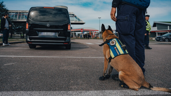 Photo d'un maitre chien et de son malinois sur le controle. En fond on observe un v&eacute;hicule noir, type VTC.