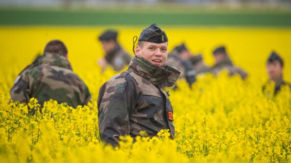 Officiers-élèves dans un champ de colza