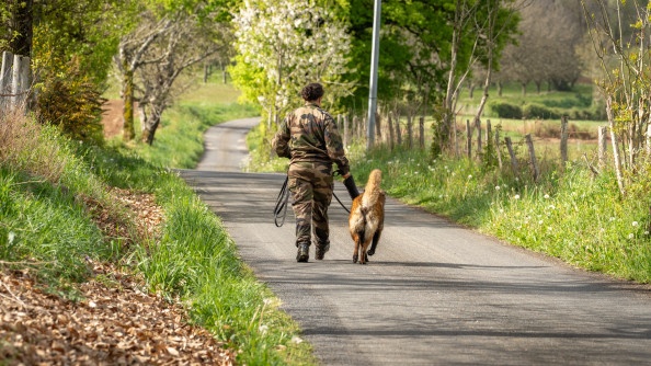 Photo d'une femme militaire, de dos, marchant sur une route de campagne, en tenant en laisse un chien de type berger belge malinois.
