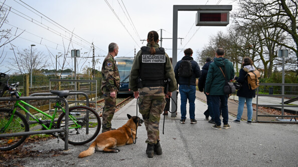 Sur la gauche deux gendarmes de l'&eacute;quipe cynophile aux c&ocirc;t&eacute;s d'un chien. Sur la droite on peut voir 4 civils. Ils se trouvent tous sur un quai. Dans le fond, un train est en train de partir.