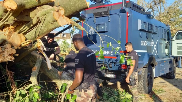 Des gendarmes se tiennent debout près d'un véhicule blindé de la gendarmerie, aux côtés de troncs d'arbres regroupés, après le passage du cyclone Garance sur l'île de la Réunion.