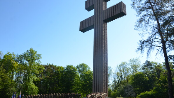 DSC_9498.JPG