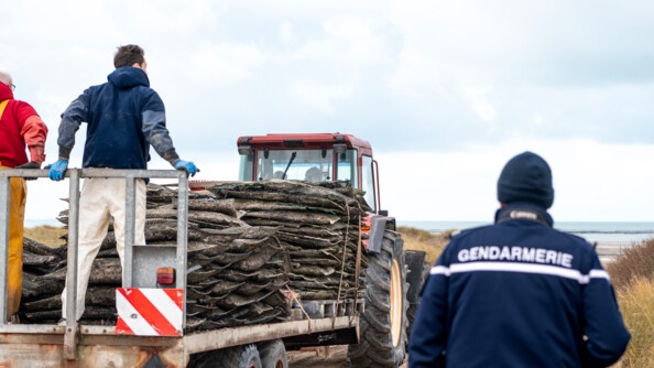 Tracteur descendant sur la cale aux côtés d'un militaire de la gendarmerie.