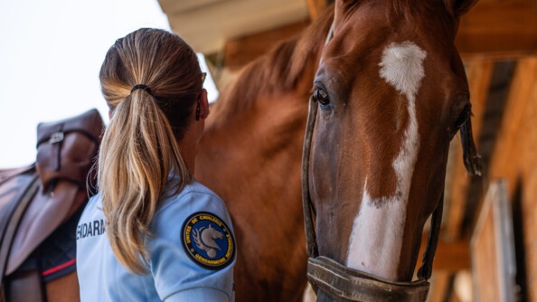 De dos en buste, une gendarme au polo bleu avec l'écusson "unités de cavalerie - gendarmerie nationale", en train de brosser un cheval de la main gauche. Le plan est rapproché. A droite de la gendarme, la tête du cheval qui nous regarde