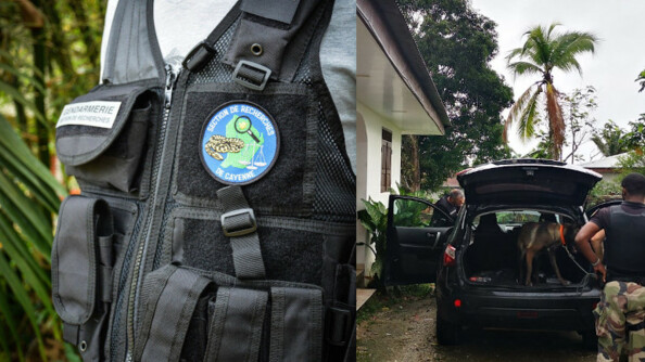 Les gendarmes de Guyane ont mené une grande opération judiciaire le 3 février contre une organisation criminelle extrêmement violente.