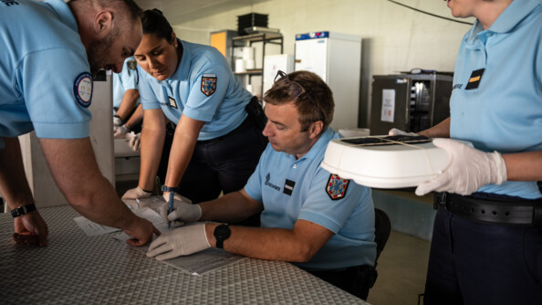 A droite, une gendarme debout, en pantalon bleu foncé/polo manches courtes bleu clair, munie de gants en latex blancs, porte une boîte blanche fermée. A côté d'elle, à gauche, un deuxième gendarme, dans la même tenue, est assis à une table recouverte d'une toile cirée à petits triangles. Il est en train d'écrire sur un document. Face à lui, un autre gendarme est penché vers lui et lui pointe le document. Une quatrième gendarme est à droite de celui qui est assis et regarde par dessus son épaule. On devine un cinquième gendarme en arrière-plan. En arrière-plan, le long du mur, des frigos et des étagères.