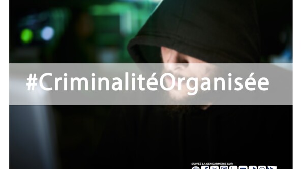 Visuel d'un homme barbu porteur d'un swet noir à capuche lui recouvrant lehaut du visage. L'image est recouvert d'un bandeau blanc en légère transparence portant la mention #CriminalitéOrganisée, ainsi que les logos des réseaux sociaux sur lesquels on peut retrouver la gendarmerie nationale