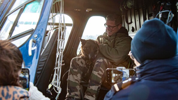 Un chien malinois sur les genoux de son maître qui le caresse