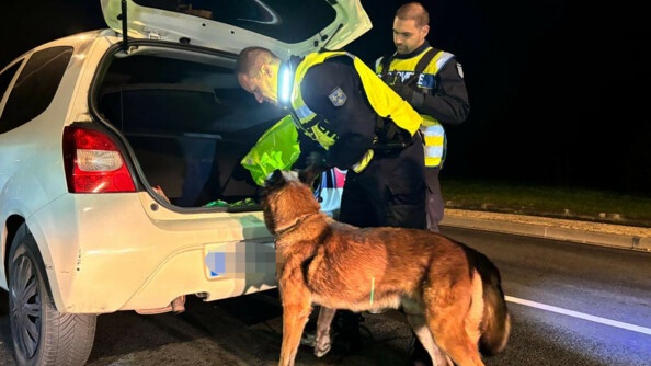 Deux gendarmes et un chien contr&ocirc;lent le coffre d'un v&eacute;hicule blanc.