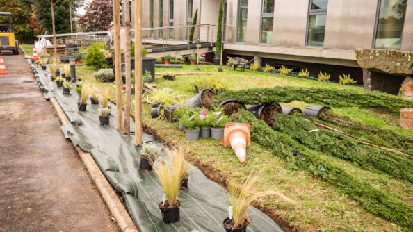 Photos d'une pelouse en travaux, sur laquelle sont dispos&eacute;s des plots en plastique orange et blanc ainsi que des bacs de plantes renvers&eacute;s, dans l'attente d'&ecirc;tre plant&eacute;s.