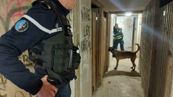 Au premier plan, un gendarme OPJ, de profil, dont on ne voit pas la tête, observe l'équipe cynophile en pleine action au bout du couloir d'une cave.