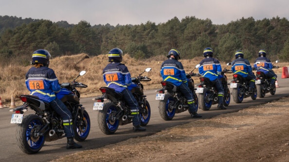 6 motards de la gendarmerie portant la mention "moto école" dans un rectangle orange, dans le dos, sont vus de trois-quart arrière, sur le bord d'une route. En arrière-plan, un terrain sauvage à l'herbe sèche et une forêt de résineux
