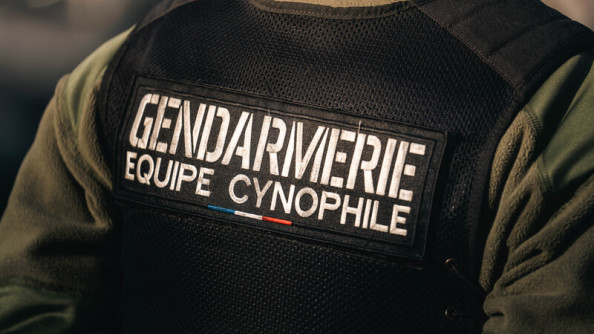 Photo d'un gendarme de dos, portant un gilet noir, avec écrit dans le dos "Gendarmerie - Equipe cynophile"