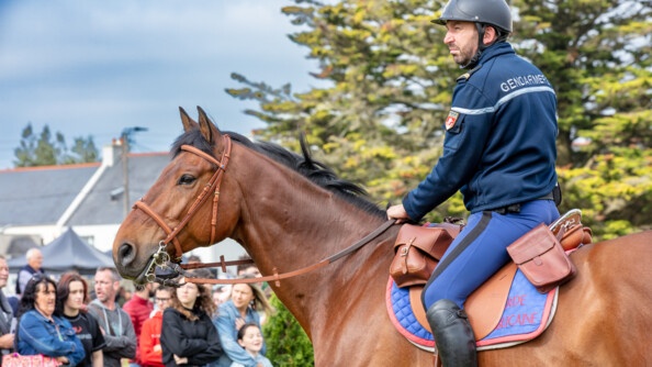 Cavalier de la garde républicaine au premier plan, sur son cheval, et au second des visiteurs et un grand arbre, à droite.