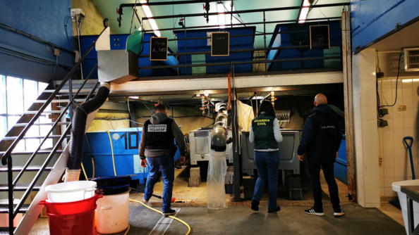 Dans un hangar à double étage, servant de vivier clandestin, un enquêteur de l'OCLAESP, une enquêtrice espagnole du SEPRONA et un agent d'Europol, vus de dos, devant des bassins contenant des civelles.