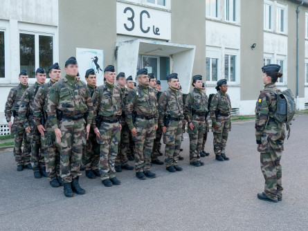 P3 rassemblé.jpg