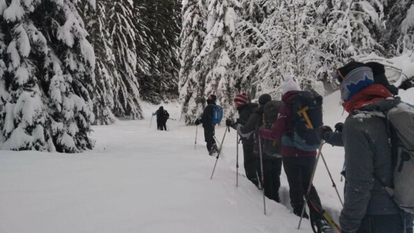 Six personnes de dos marchent l'une derrière l'autre sur en sol enneigé, au milieu des sapins enneigés. Tous sont chaudement vếtus, et sont équipés de bâtons de marche.