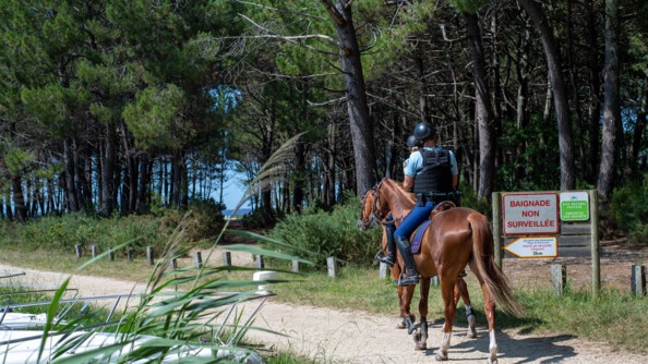 Deux gendarmes à cheval patrouillent sur un chemin le long de la pinède. Au milieu de l'image, un chemin mène au lac, offrant une ouverture sur le ciel. A droite, quelques panneaux d'indication